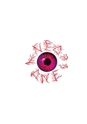 Eye